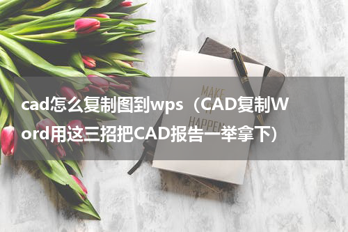 cad怎么复制图到wps（CAD复制Word用这三招把CAD报告一举拿下）
