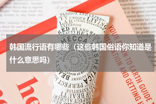 韩国流行语有哪些（这些韩国俗语你知道是什么意思吗）