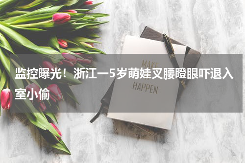 监控曝光！浙江一5岁萌娃叉腰瞪眼吓退入室小偷
