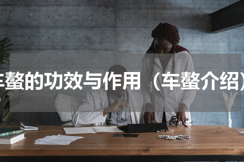 车螯的功效与作用（车螯介绍）