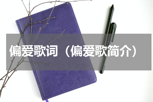 偏爱歌词（偏爱歌简介）