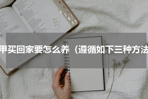 花甲买回家要怎么养（遵循如下三种方法）