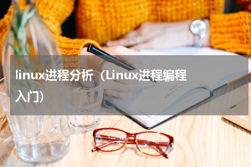 linux进程分析（Linux进程编程入门）