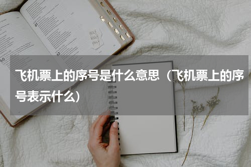 飞机票上的序号是什么意思（飞机票上的序号表示什么）