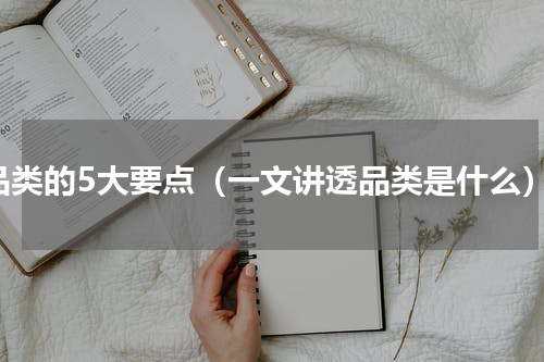 品类的5大要点（一文讲透品类是什么）