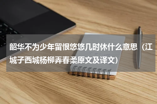 韶华不为少年留恨悠悠几时休什么意思（江城子西城杨柳弄春柔原文及译文）