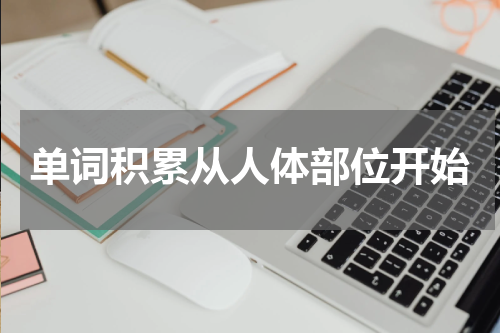 单词积累从人体部位开始