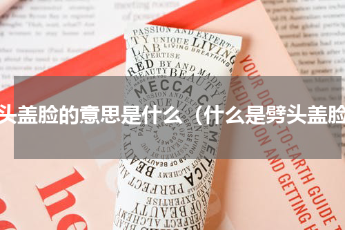 劈头盖脸的意思是什么（什么是劈头盖脸）