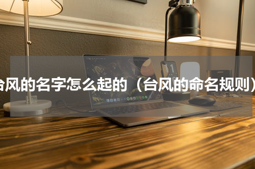 台风的名字怎么起的（台风的命名规则）