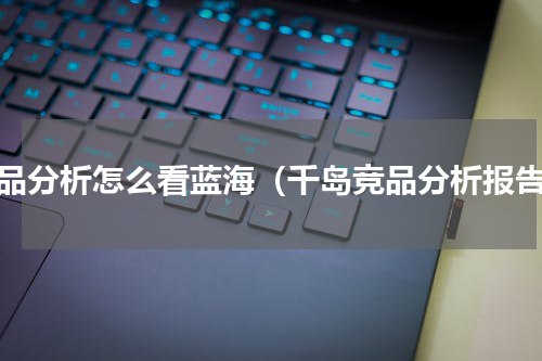 竞品分析怎么看蓝海（千岛竞品分析报告）