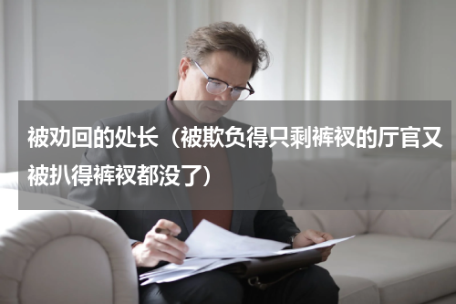被劝回的处长（被欺负得只剩裤衩的厅官又被扒得裤衩都没了）