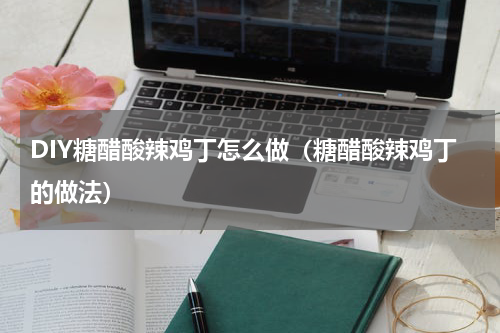 DIY糖醋酸辣鸡丁怎么做（糖醋酸辣鸡丁的做法）