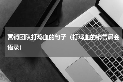 营销团队打鸡血的句子（打鸡血的销售晨会语录）