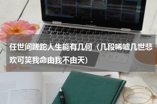 任世间蹉跎人生能有几何（几段唏嘘几世悲欢可笑我命由我不由天）