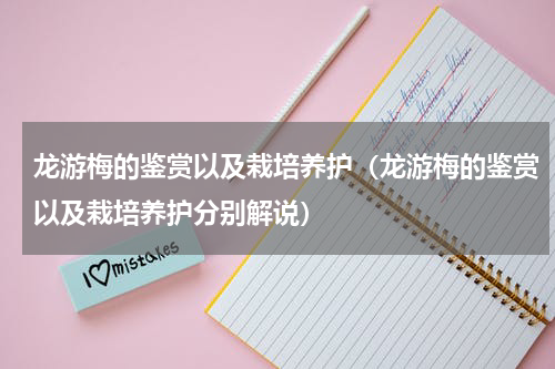 龙游梅的鉴赏以及栽培养护（龙游梅的鉴赏以及栽培养护分别解说）