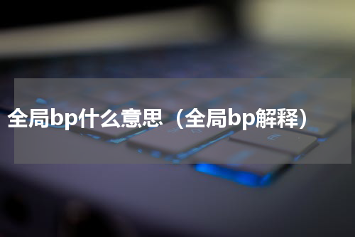 全局bp什么意思（全局bp解释）