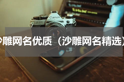 沙雕网名优质（沙雕网名精选）