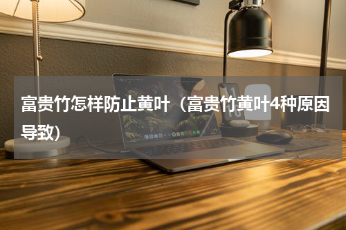 富贵竹怎样防止黄叶（富贵竹黄叶4种原因导致）