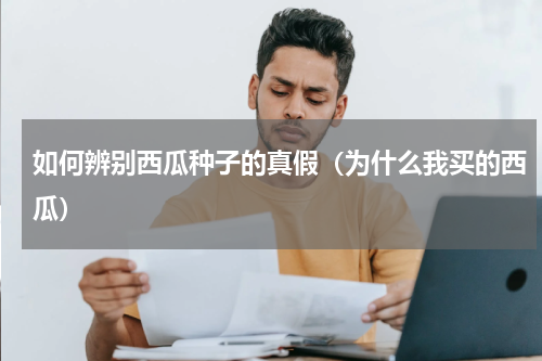 如何辨别西瓜种子的真假（为什么我买的西瓜）