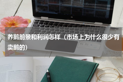 养鹅前景和利润怎样（市场上为什么很少有卖鹅的）