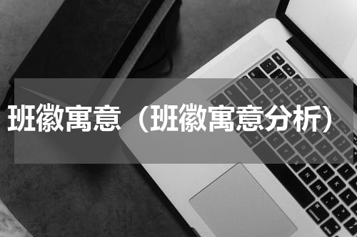 班徽寓意（班徽寓意分析）