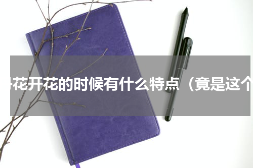 牡丹花开花的时候有什么特点（竟是这个）