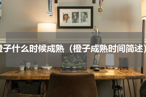 橙子什么时候成熟（橙子成熟时间简述）
