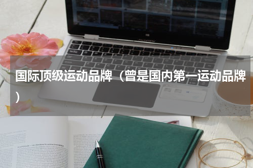 国际顶级运动品牌（曾是国内第一运动品牌）