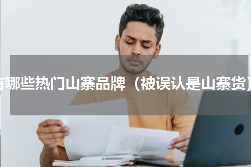 有哪些热门山寨品牌（被误认是山寨货）