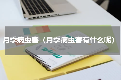 月季病虫害（月季病虫害有什么呢）