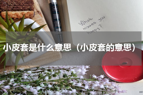 小皮套是什么意思（小皮套的意思）