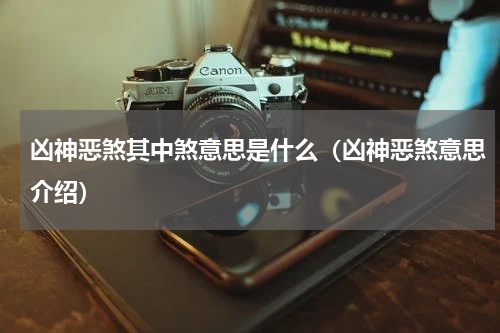 凶神恶煞其中煞意思是什么（凶神恶煞意思介绍）