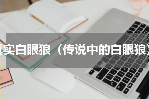 真实白眼狼（传说中的白眼狼）