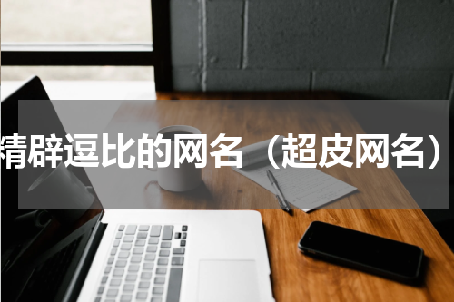 精辟逗比的网名（超皮网名）