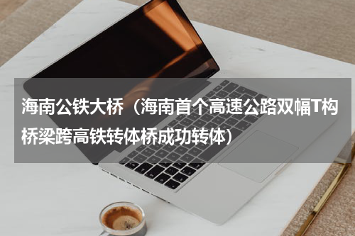 海南公铁大桥（海南首个高速公路双幅T构桥梁跨高铁转体桥成功转体）