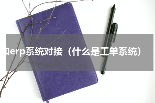 oa和erp系统对接（什么是工单系统）