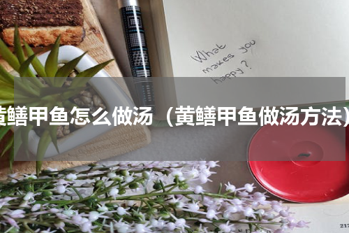 黄鳝甲鱼怎么做汤（黄鳝甲鱼做汤方法）