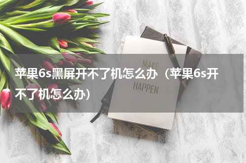 苹果6s黑屏开不了机怎么办（苹果6s开不了机怎么办）