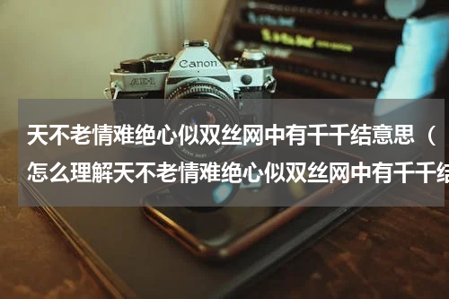 天不老情难绝心似双丝网中有千千结意思（怎么理解天不老情难绝心似双丝网中有千千结）