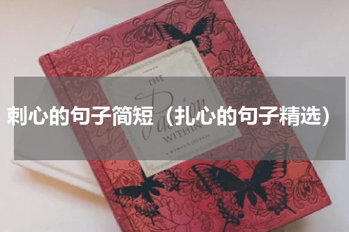 刺心的句子简短（扎心的句子精选）