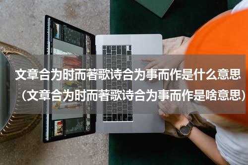 文章合为时而著歌诗合为事而作是什么意思（文章合为时而著歌诗合为事而作是啥意思）