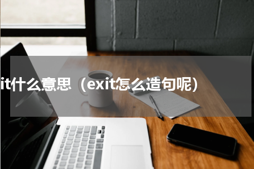 exit什么意思（exit怎么造句呢）