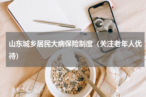 山东城乡居民大病保险制度（关注老年人优待）