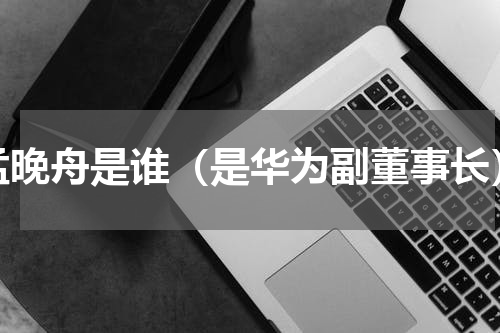 孟晚舟是谁（是华为副董事长）