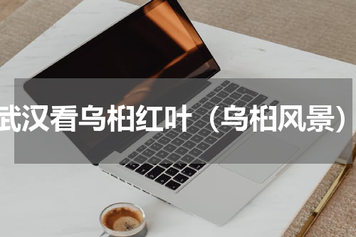 武汉看乌桕红叶（乌桕风景）