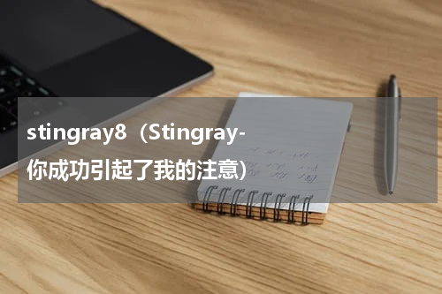 stingray8（Stingray-你成功引起了我的注意）