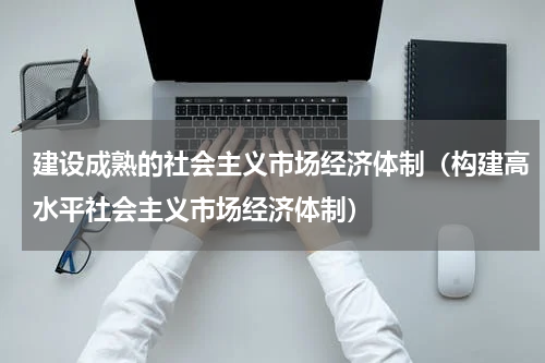 建设成熟的社会主义市场经济体制（构建高水平社会主义市场经济体制）