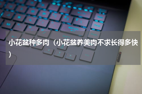 小花盆种多肉（小花盆养美肉不求长得多快）