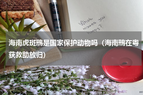 海南虎斑鳽是国家保护动物吗（海南鳽在粤获救助放归）