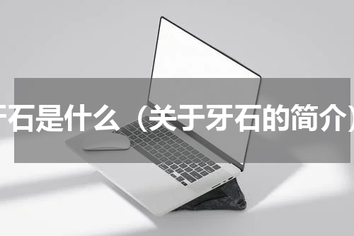 牙石是什么（关于牙石的简介）